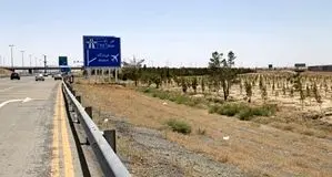 علت بوی نامطبوع اطراف فرودگاه امام چه بود؟