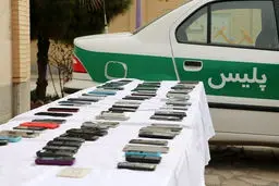 نکاتی درباره قابل گذشت بودن برخی جرائم مانند سرقت