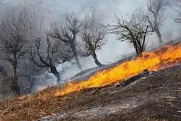 آتش‌سوزی در درفک رودبار خاموش شد

