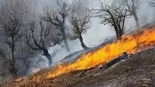 آتش‌سوزی در درفک رودبار خاموش شد


