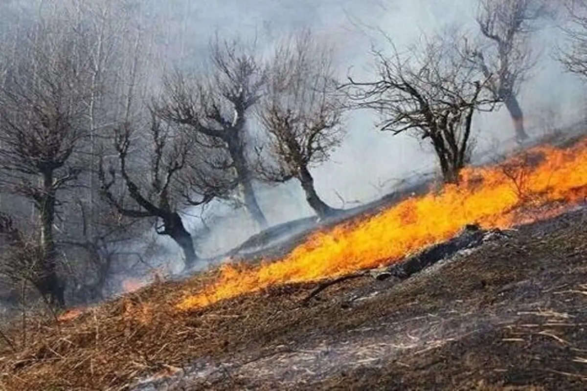 آتش‌سوزی در درفک رودبار خاموش شد

