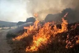 درگیری ۲۵ هزار هکتار از بخش عراقی تالاب هورالعظیم/ تداوم انتشار دود ناشی از آتش سوزی 