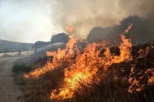 درگیری ۲۵ هزار هکتار از بخش عراقی تالاب هورالعظیم/ تداوم انتشار دود ناشی از آتش سوزی