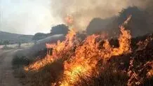 درگیری ۲۵ هزار هکتار از بخش عراقی تالاب هورالعظیم/ تداوم انتشار دود ناشی از آتش سوزی 