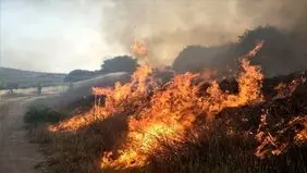 درگیری ۲۵ هزار هکتار از بخش عراقی تالاب هورالعظیم/ تداوم انتشار دود ناشی از آتش سوزی 