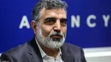 Canceling German, French inspectors activities 'Iran right'