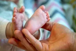 ثبت بیش از یک میلیون تولد و ۵۴۴ هزار فوتی در سال۱۴۰۰