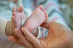 ثبت بیش از یک میلیون تولد و ۵۴۴ هزار فوتی در سال۱۴۰۰