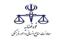 نحوه فعالیت واحدهای قضایی و اداری قوه قضاییه