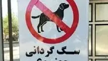 راننده ۹ ساله در اصفهان توقیف شد+ عکس