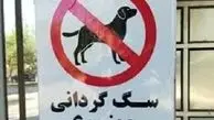 توقیف خودروهای حامل سگ در کرمان