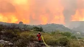 احتمال آتش سوزی در جنگل‌ها و مراتع/ آتش سوزی را به شماره ۱۵۰۴ اطلاع دهید