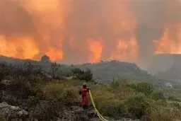 دادگستری مازندران: مقصران آتش سوزی الیت شناسایی شوند