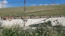 تعداد موش‌ها در این مناطق تهران بیشتر شد  