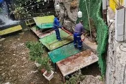 تخت‌های دربند جمع شد 
