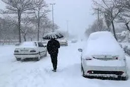 بارش برف در تهران+ ویدئو