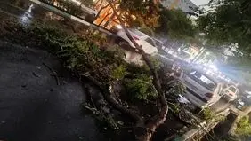 مصدومیت 6 نفر براثر طوفان سه شنبه شب تهران

