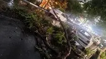 طوفان شب گذشته تهران ۷ مصدوم به جا گذاشت 