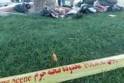 کشف جسد تکه تکه شده زن جوان داخل چند پلاستیک زباله در میدان آزادی تهران