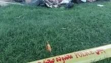 کشف جسد تکه تکه شده زن جوان داخل چند پلاستیک زباله در میدان آزادی تهران