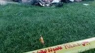کشف جسد تکه تکه شده زن جوان داخل چند پلاستیک زباله در میدان آزادی تهران