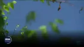 چین چگونه توانست آلودگی هوا را کاهش دهد؟+ ویدئو