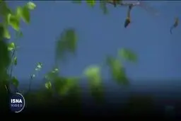 چین چگونه توانست آلودگی هوا را کاهش دهد؟+ ویدئو