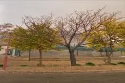 تصاویر چشم نواز از باران در اصفهان+ ویدئو
