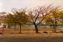 تصاویر چشم نواز از باران در اصفهان+ ویدئو