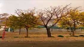 تصاویر چشم نواز از باران در اصفهان+ ویدئو