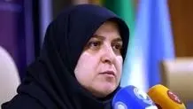واکنش سخنگوی دولت به برخی سیاه نمایی ها درباره فیلم پیرپسر
