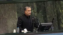 مخالف صنعت نیستم/ شازند تحمل آلایندگی بیشتر را ندارد

