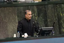 مخالف صنعت نیستم/ شازند تحمل آلایندگی بیشتر را ندارد


