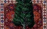 با نگاهی به نقاشیهای اسما کلهر