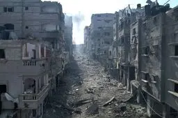 زندگی در مصیبت