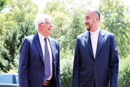 دوربرگردان یک ایده