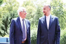 دوربرگردان یک ایده