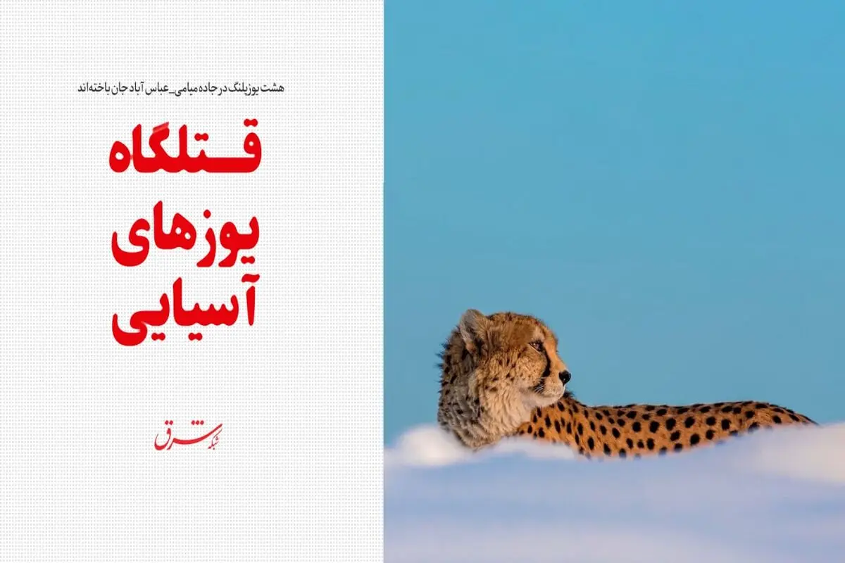 قتلگاه یوزهای آسیایی