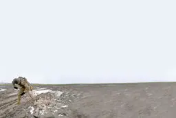اگر این نیز  انسان است*