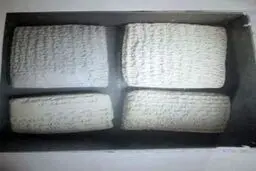 الواح هخامنشی از آمریکا به ایران بازگردانده می‌شوند؛ آثار تاریخی در هواپیمای شخصی رئیسی


