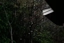 تحول در انرژی پاک؛ برق از باران