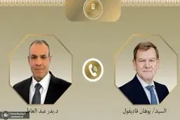 وزیر خارجه مصر و‌آلمان درباره سیاستهای خطرناک اسرائیل گفتگو کردند 