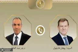 وزیر خارجه مصر و‌آلمان درباره سیاستهای خطرناک اسرائیل گفتگو کردند 