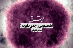 آبله میمونی اخیر در کدام کشورها شناسایی شده است؟