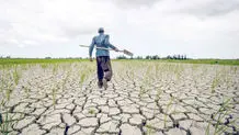 کشاورزی پرمصرف؛ قاتل پنهان آب ایران