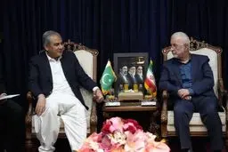 وزیر کشور پاکستان: در کنار ایران برای صلح منطقه تلاش می کنیم