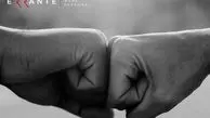 در بروکر ارانته چه میگذرد؟ تریدرها چه نظری دارند؟