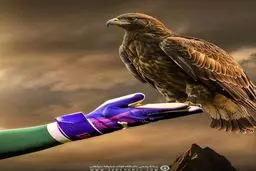 استقبال سپاهان از محمدرضا اخباری؛ عقاب اینجاست! + عکس