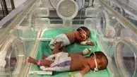 سازمان ملل: حیات نوزادان در غزه به مو بند است!

