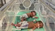 سازمان ملل: حیات نوزادان در غزه به مو بند است!

